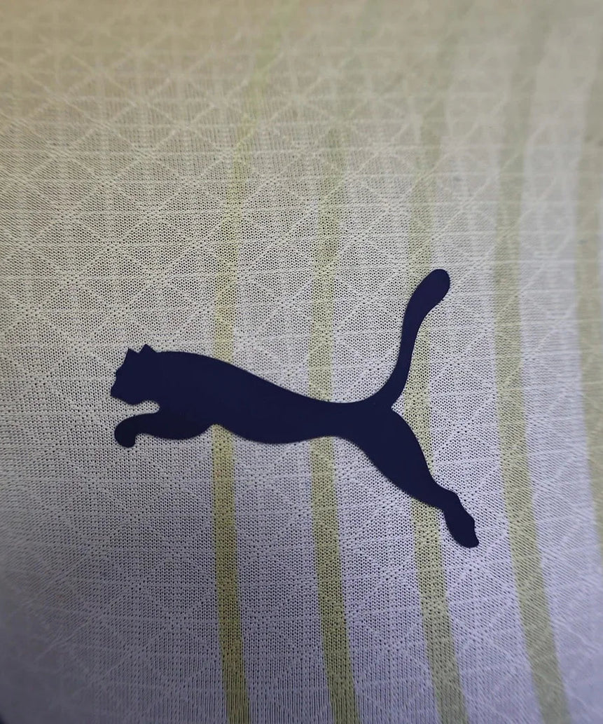 2024/2025 Player Version Manchester City Special Edition Football Shirt 1:1 Thai Quality - Player Version